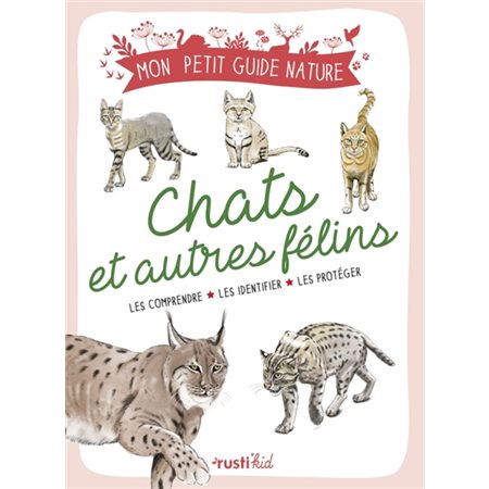 Chats et autres félins.