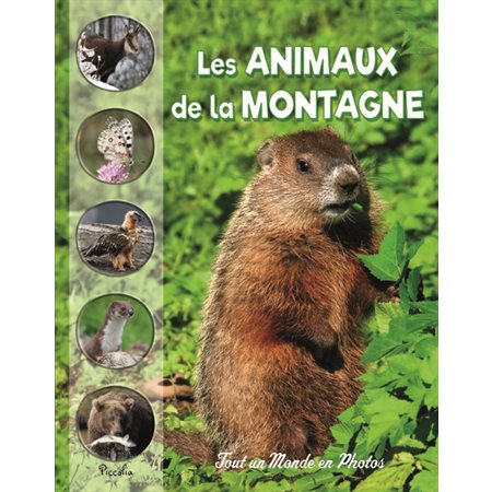 Les animaux de la montagne, Tout un monde en photos