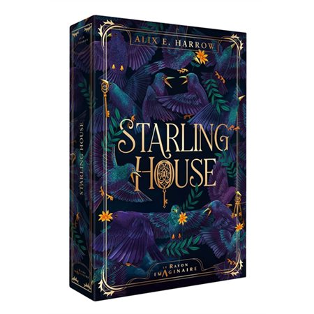 Starling house, Le rayon imaginaire