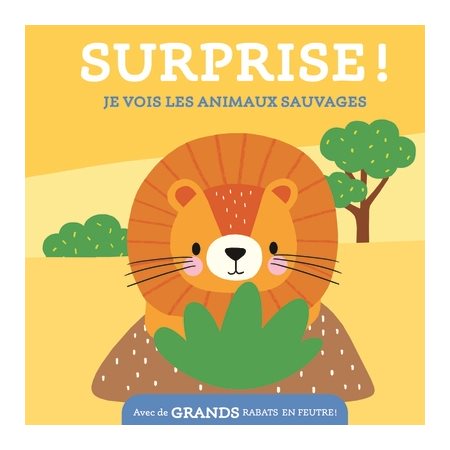 Je vois les animaux sauvages, Surprise ! Je te vois