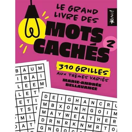 Le grand livre des mots cachés 2