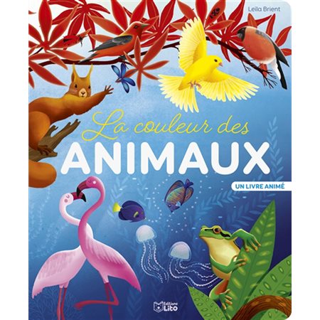 La couleur des animaux : un livre animé