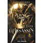 Le Prince et l'Assassin : Perilous Courts #1