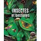 Insectes et bestioles, Mon grand documentaire