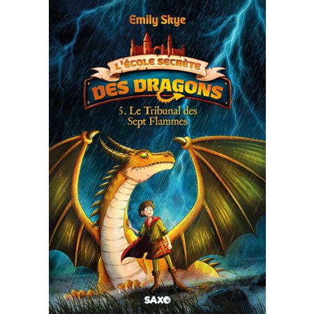 Le tribunal des Sept Flammes, L'école secrète des dragons, 5