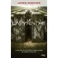 Le labyrinthe, Tome 1, L'épreuve